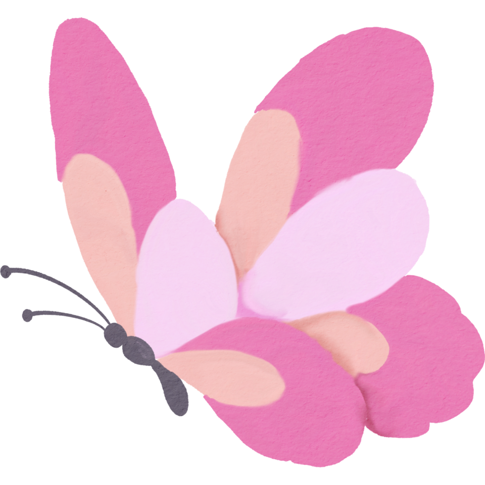 butterfly water colour png