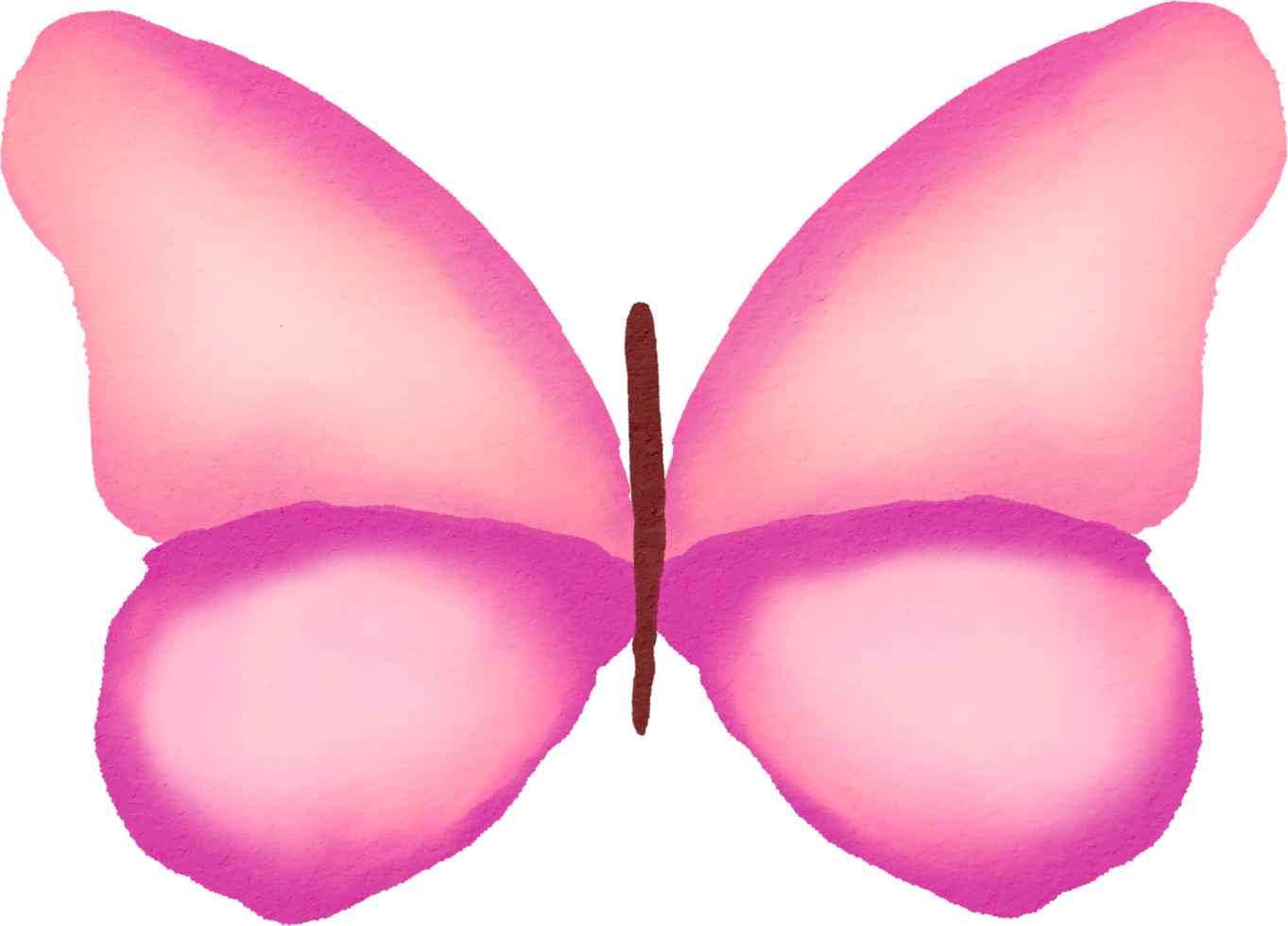 butterfly water colour png