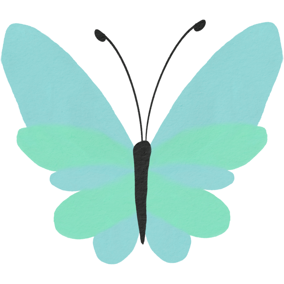 butterfly water colour png