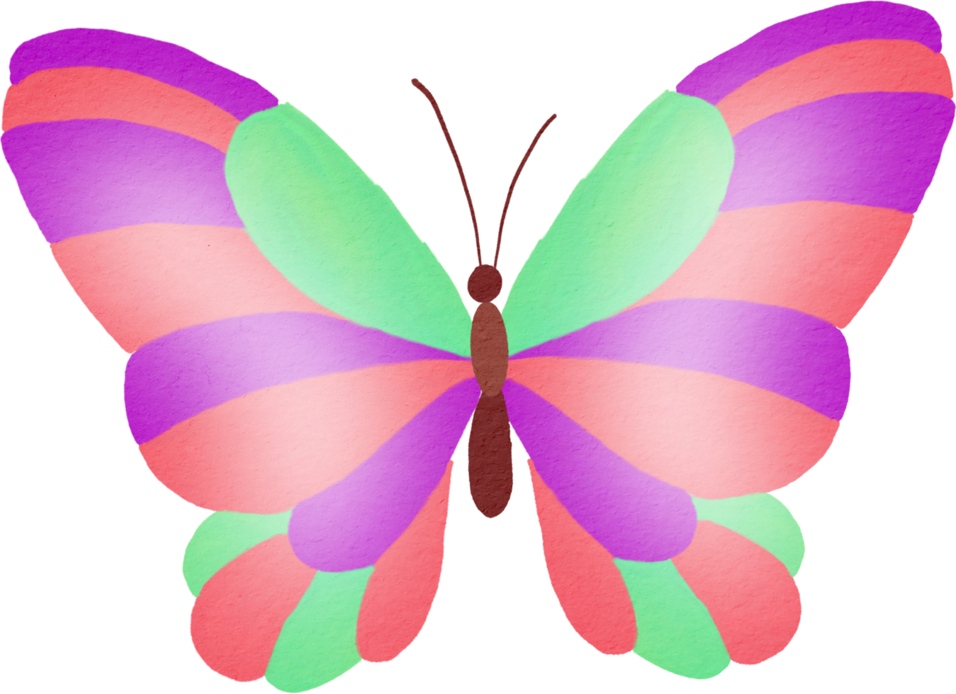 cor de água borboleta png