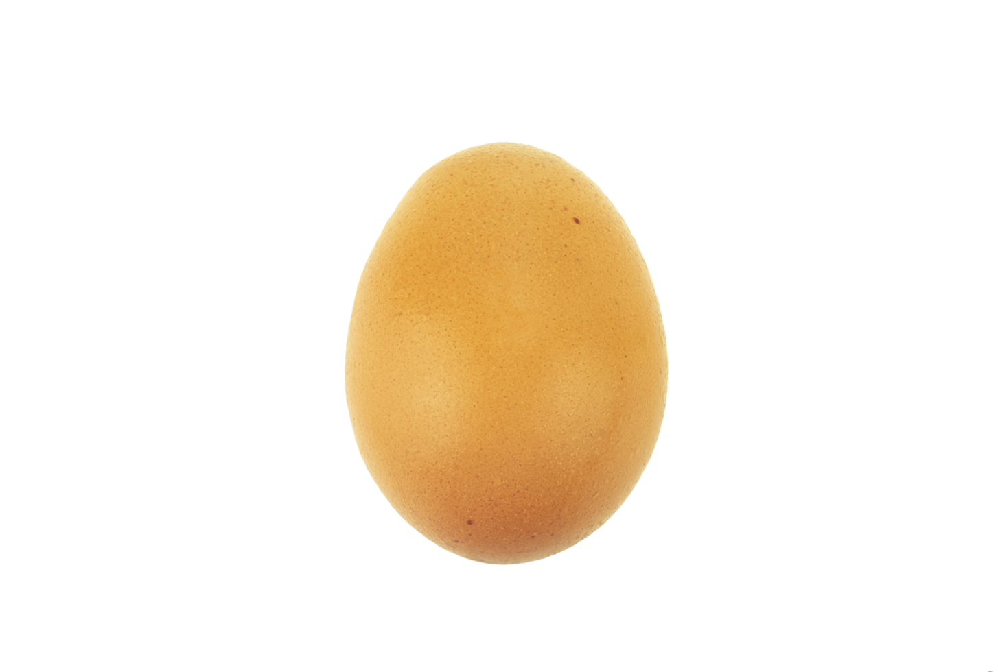 chicken Brown egg isolated png