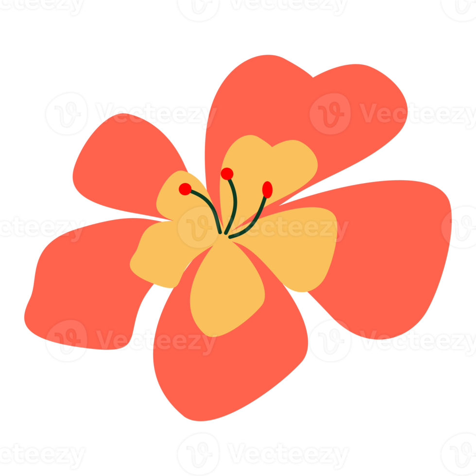 Hibiscus flower illustration for design element png