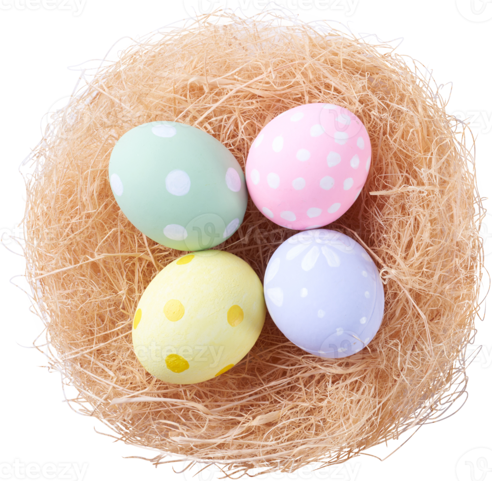 Happy Easter day eggs in nest top view png