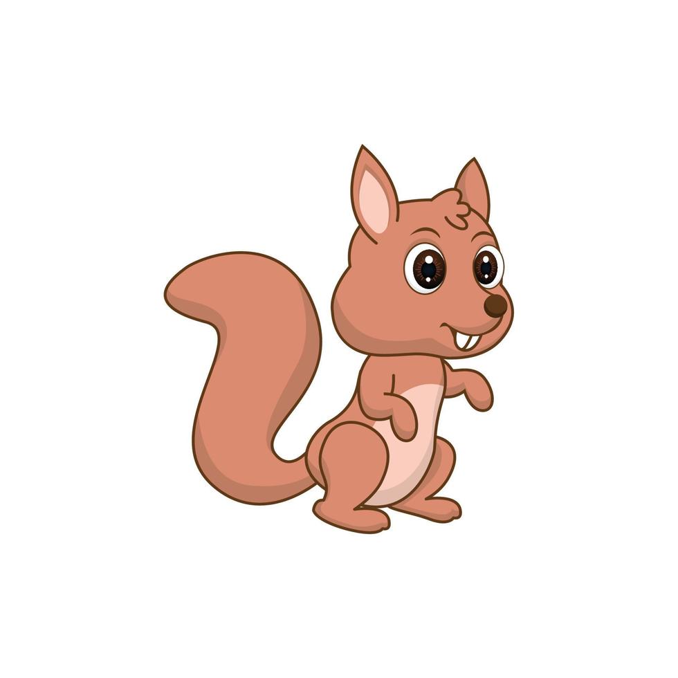 Cute squirrel cartoon vector illustration