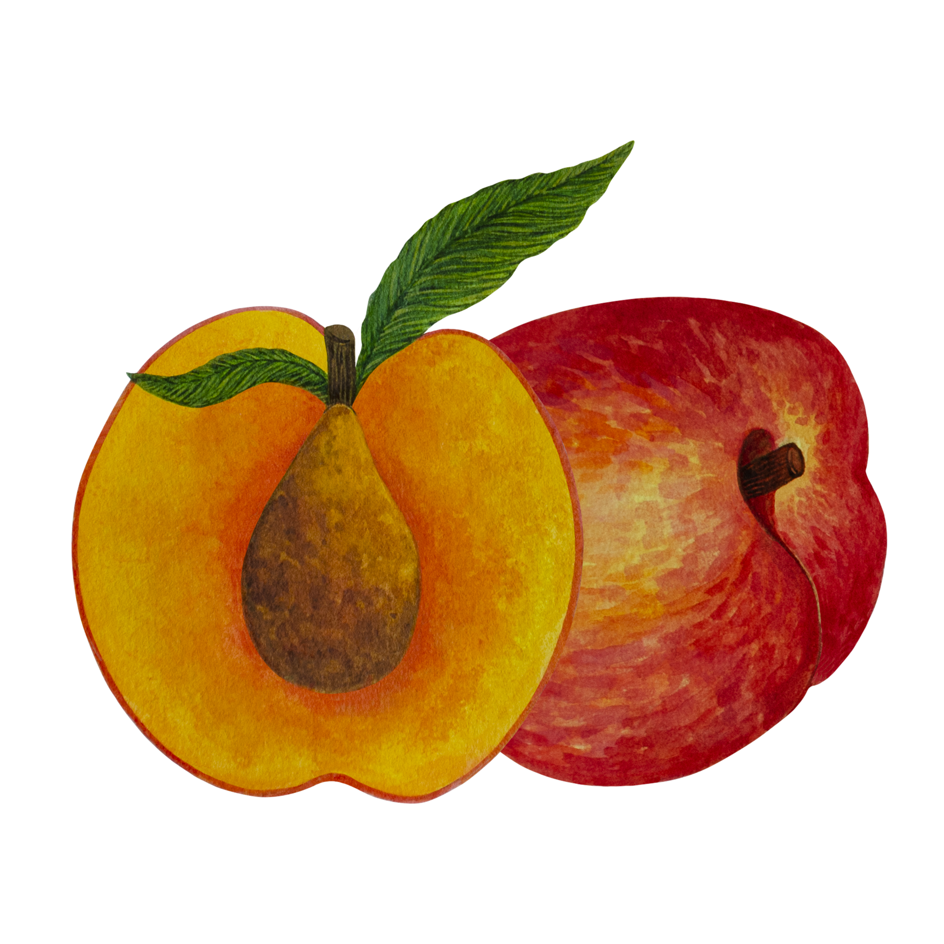 Fresh And Delicious Nectarines, Fresh, Delicious, Nectarine PNG