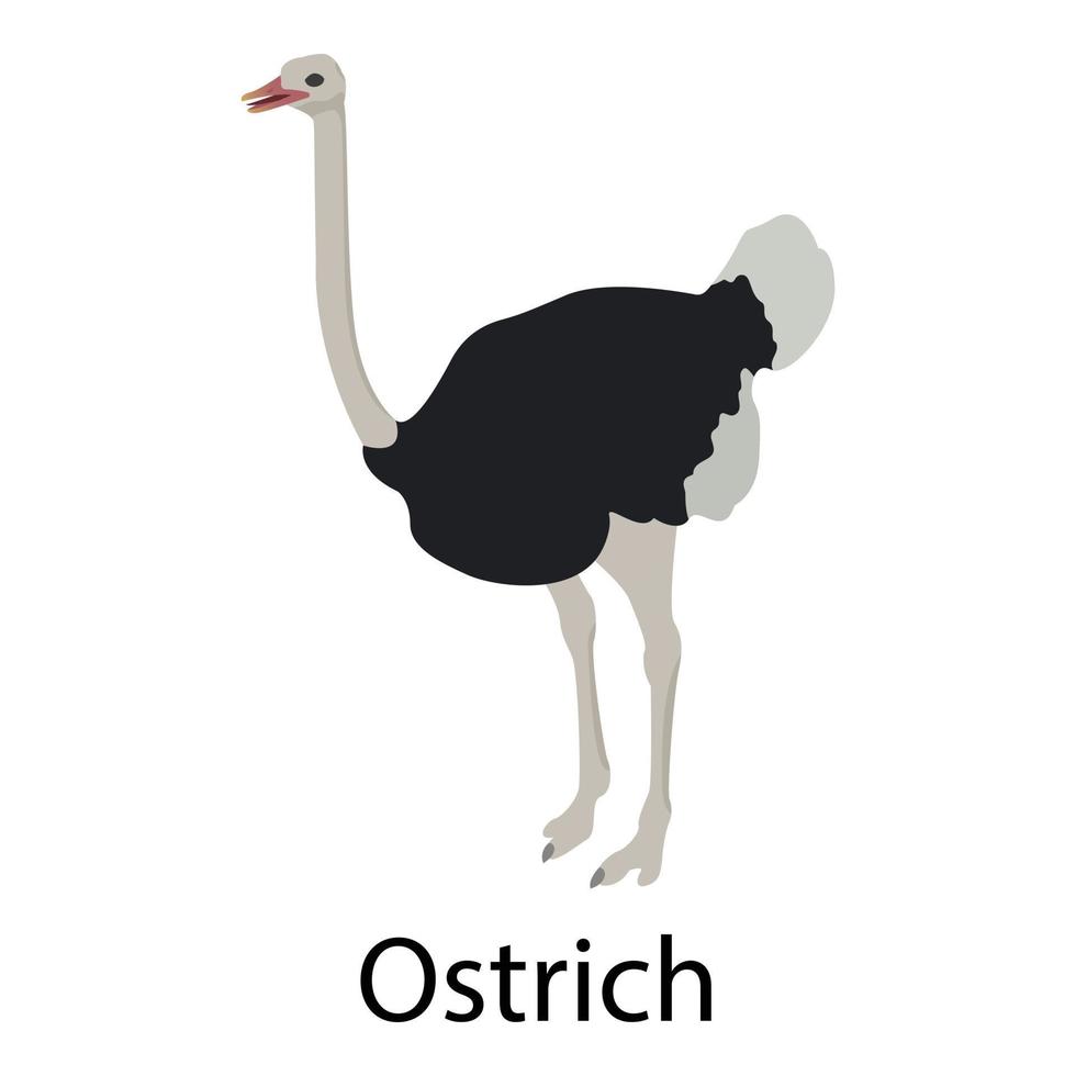 Ostrich icon, isometric style vector