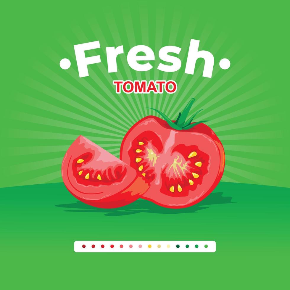 fresh red tomato on green shining background vector