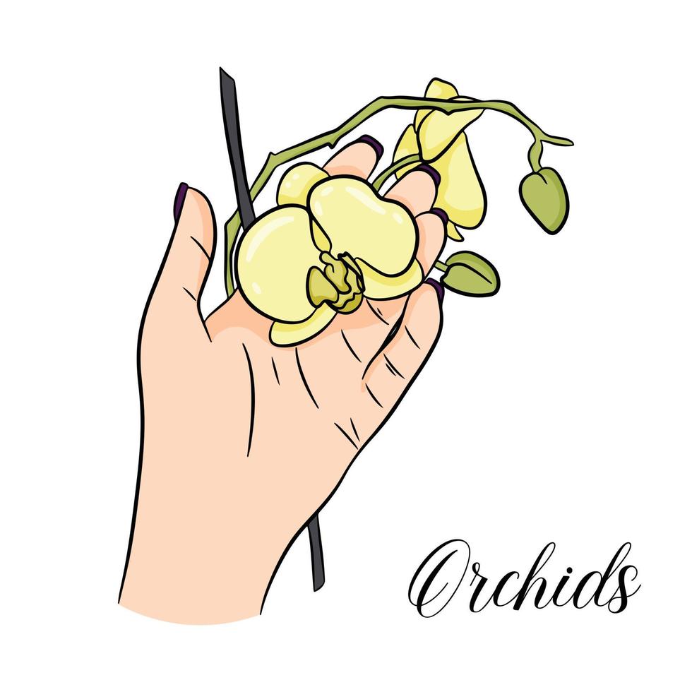 Yellow flowering orchid in hand. Cartoon style. Vector illustration