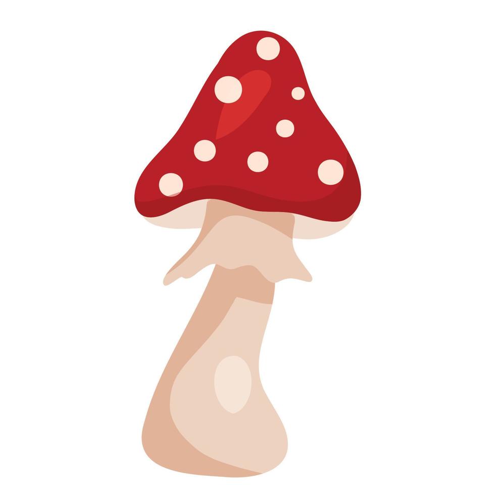 Fly agaric mushroom on white background vector