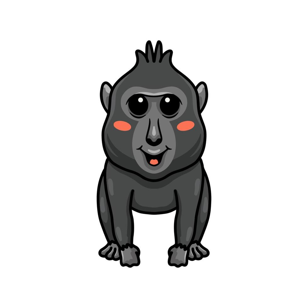 Cute little crested black macaque cartoon vector