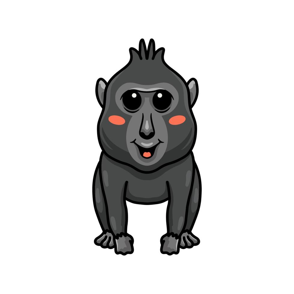 lindo pequeño macaco negro con cresta de dibujos animados vector