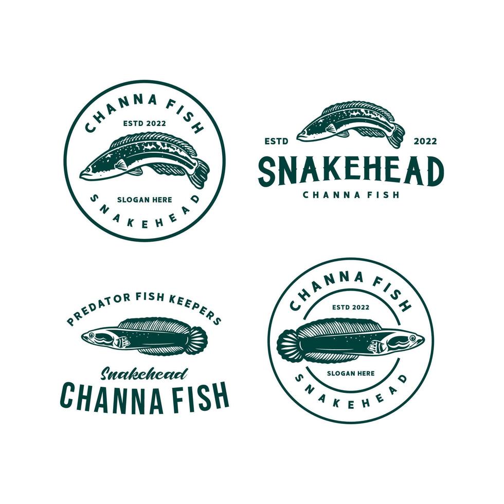 Collection of Snake head fish emblem logo. channa fish logo design template vector