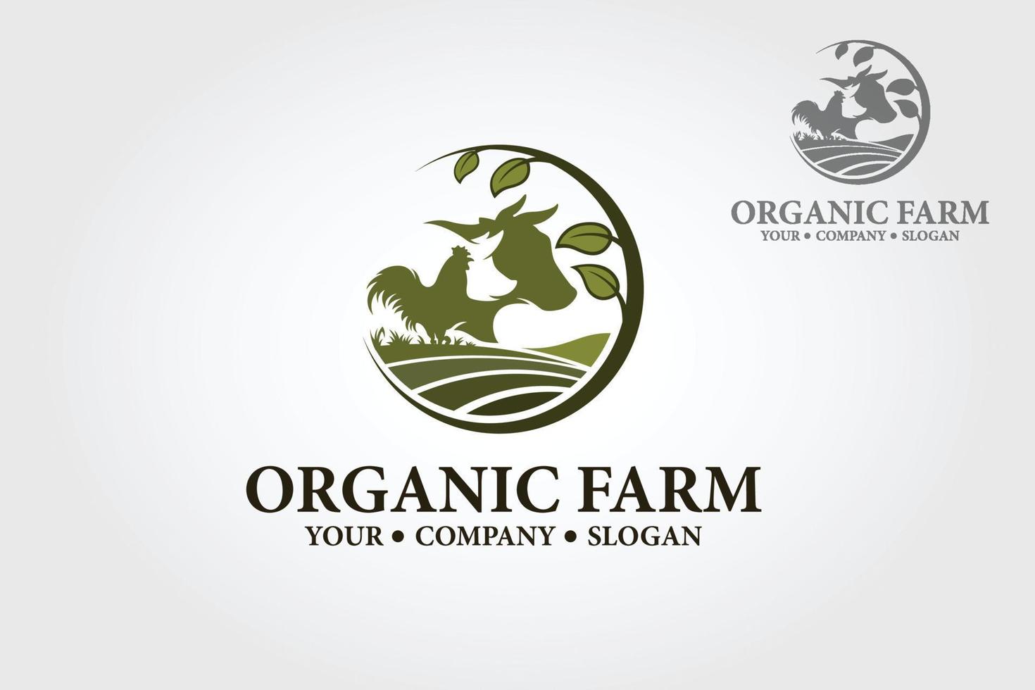 Organic Farm Vector Logo Template. Excellent Chicken and Poultry Farm logo template. Logo could be used as the main identity element of organic farm or store, vegetarian or vegan restaurant.
