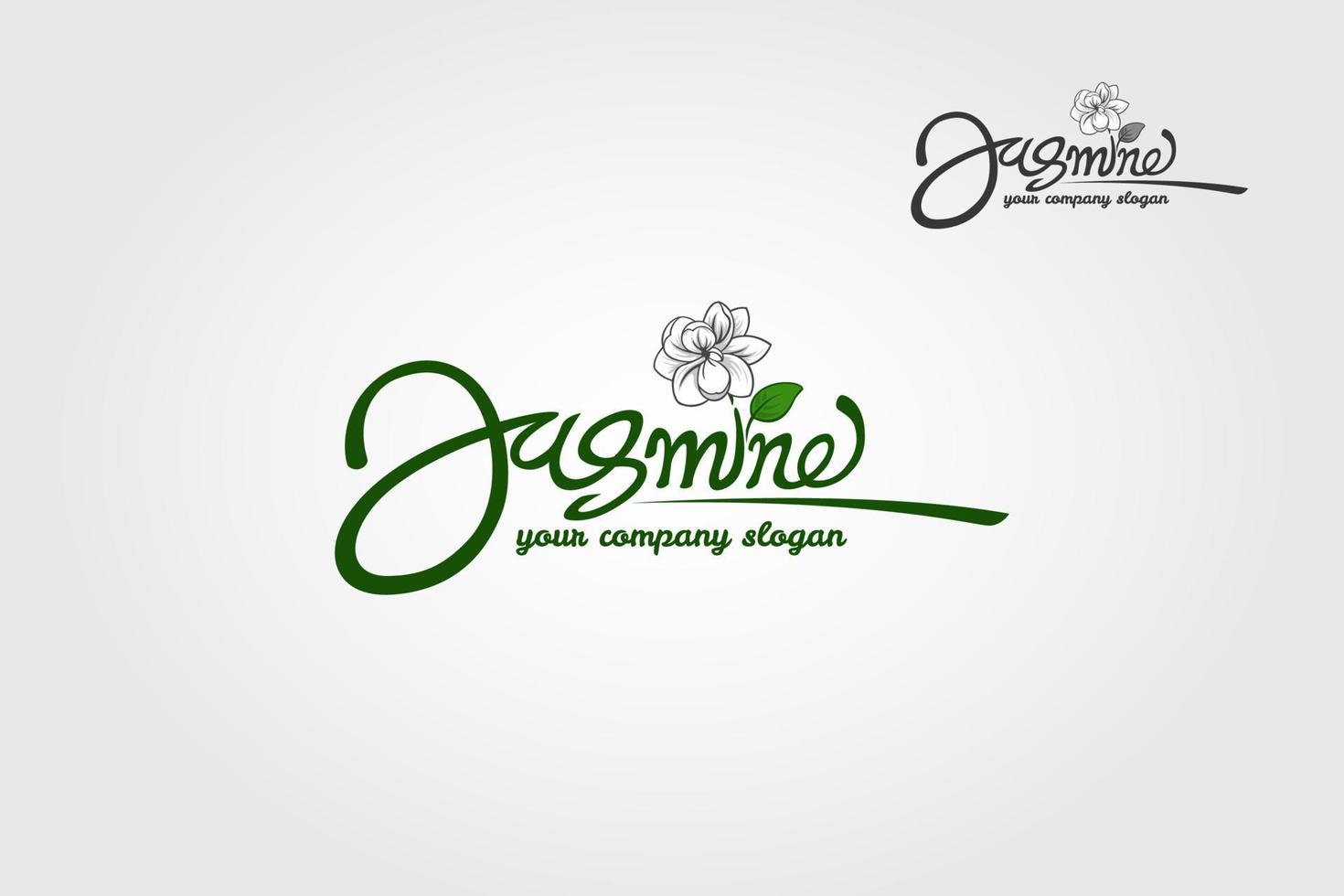 jasmine es una fuente simple para un hermoso diseño de logotipo. una fuente de escritura de lujo con un toque de escritura elegante, se ve muy elegante y moderna. vector