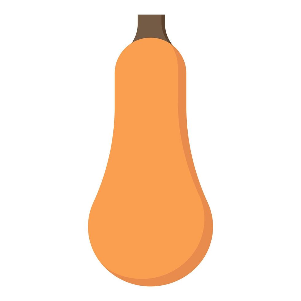 Nutmeg pumpkin flat icon. Healthy Food. Isolated vector illustration. Autumn season.
