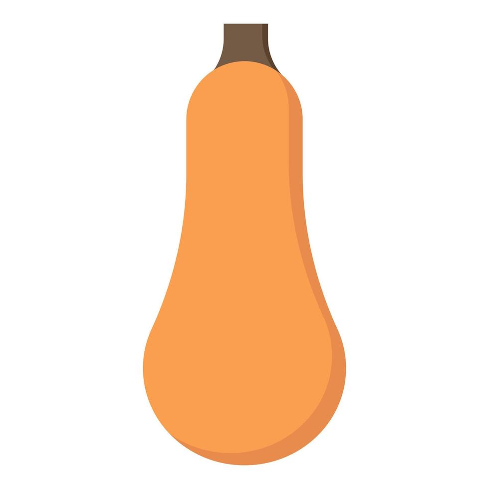 icono plano de calabaza nuez moscada. comida sana. ilustración vectorial aislada. Otoño. vector