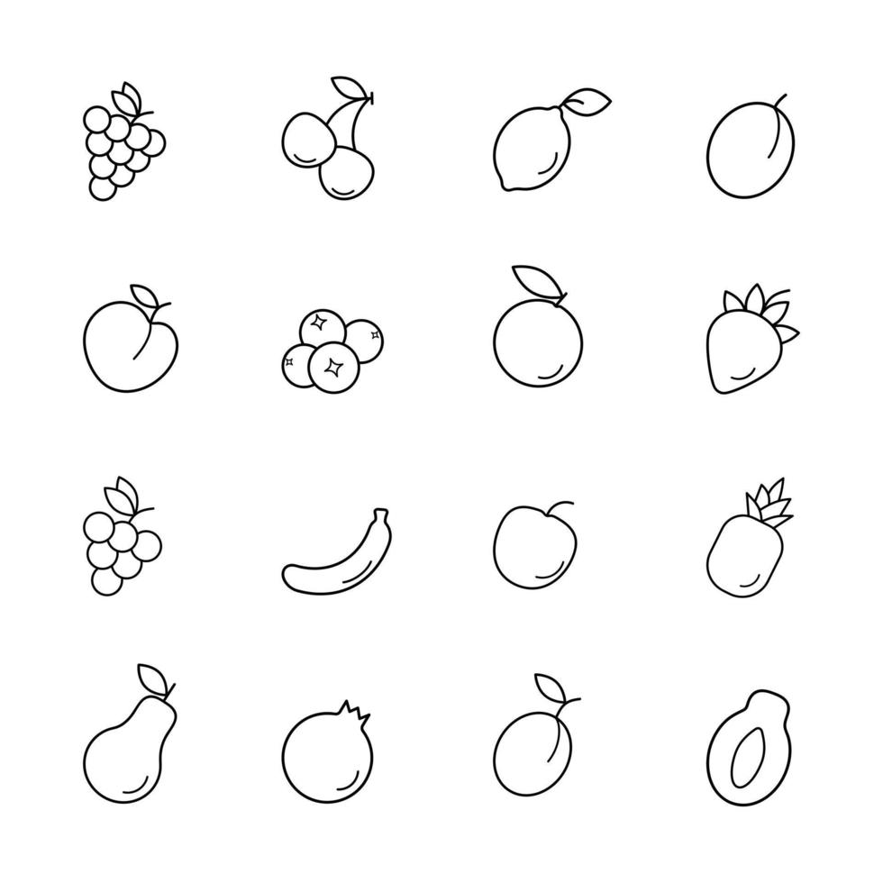 Set of linear fruit icons on white background. A collection of outline symbols. Flat web icon vector