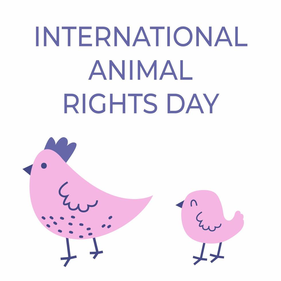 Animal rights day vector square card with white background. International day of animal rights concept. Cute chicken and chick illustration