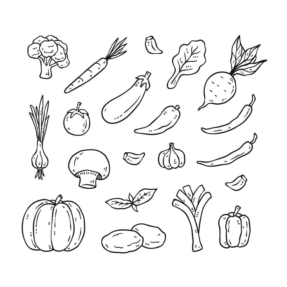 Set of hand drawn vegetable outline icons. healthy food doodles vector