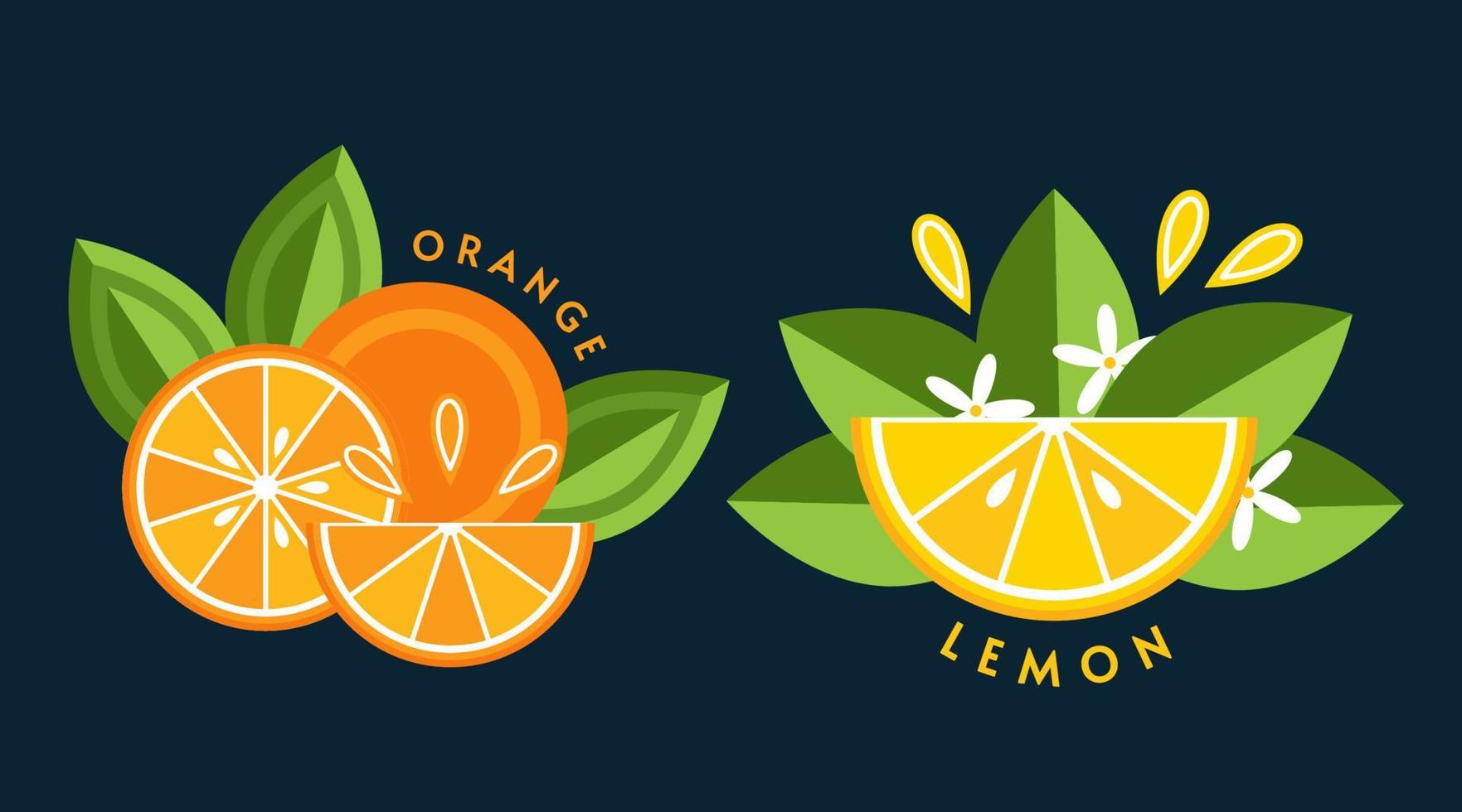 Set of logos, emblems, badges with orange, lemon, green leaves, fruit slices. Good for decoration of food packaging, groceries, agriculture stores, advertising. Flat style vector