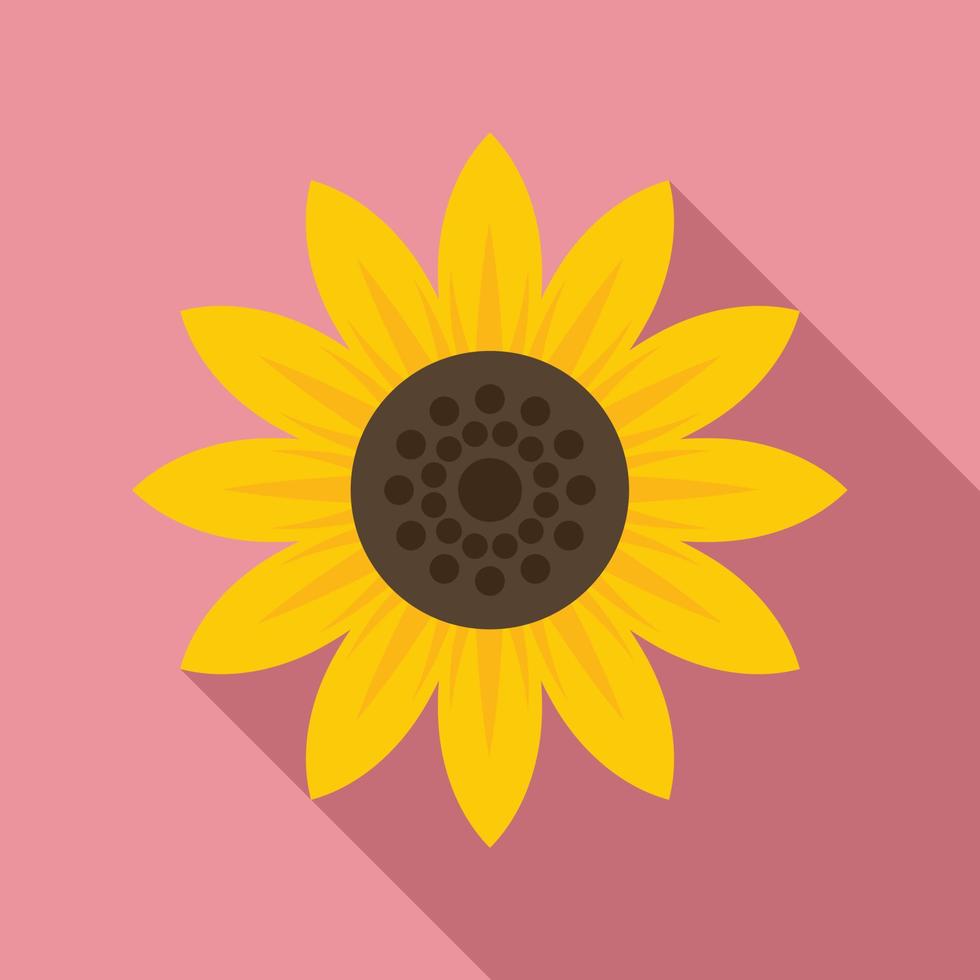 Seed sunflower icon, flat style vector
