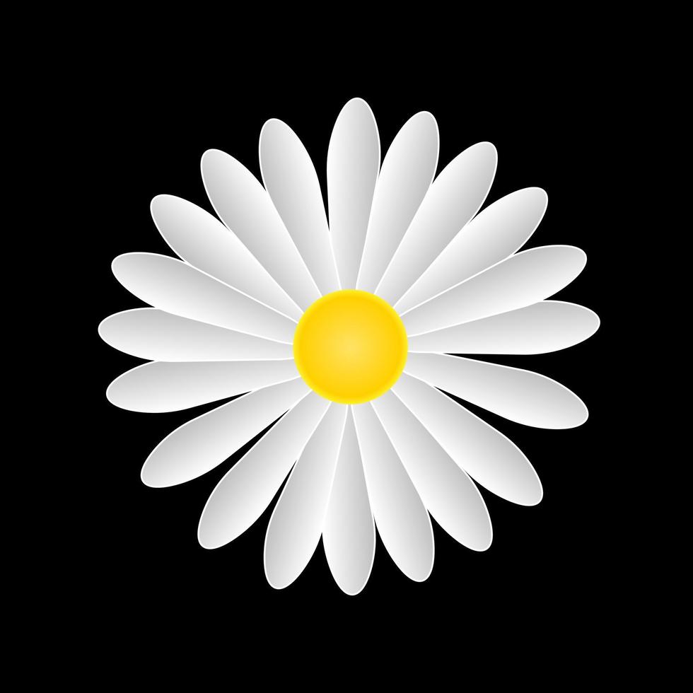 Daisy flower isolated on black. vector design illustration