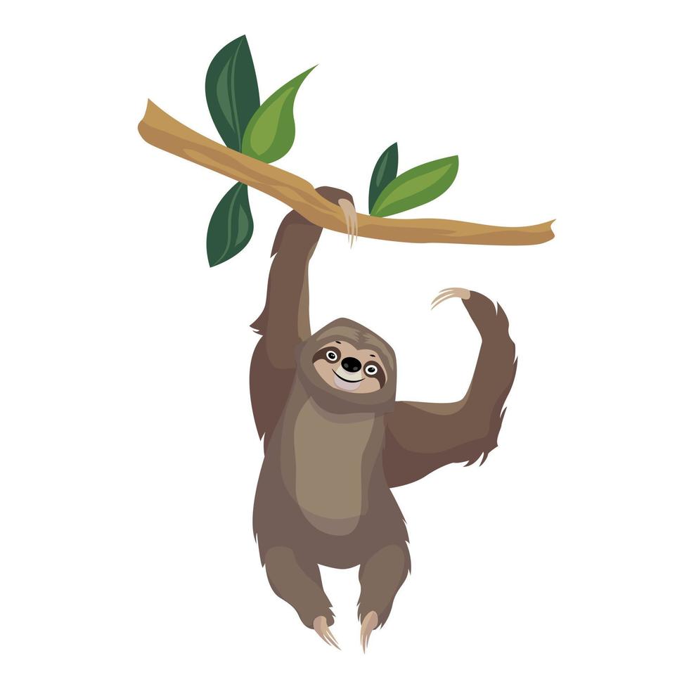 Sloth on tree branch icon, cartoon style vector