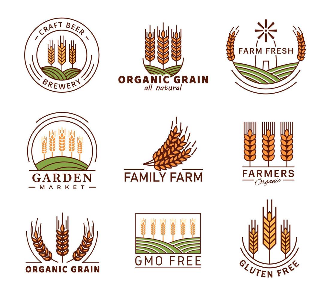 Cereal icons, wheat ear spike, barley, rye millet vector