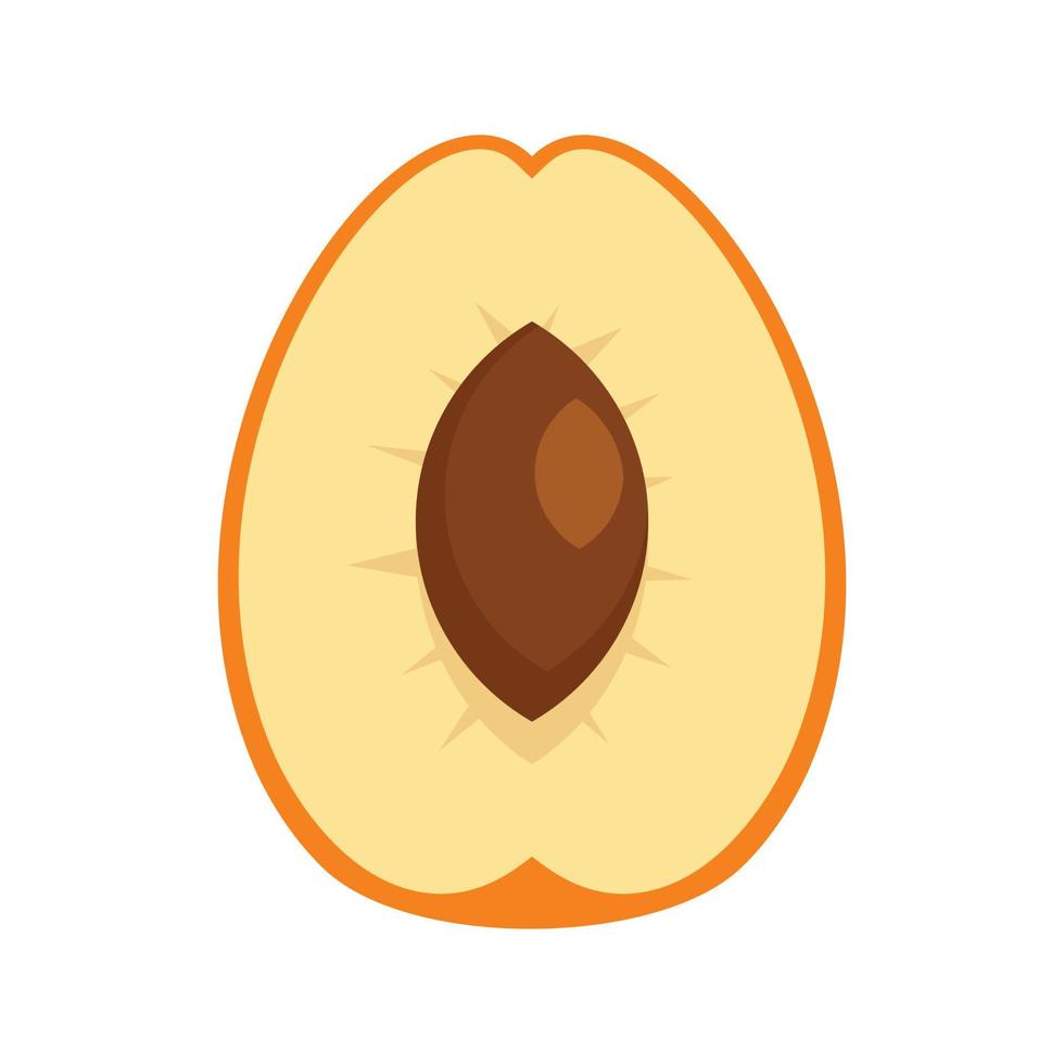 Cutted apricot icon, flat style vector