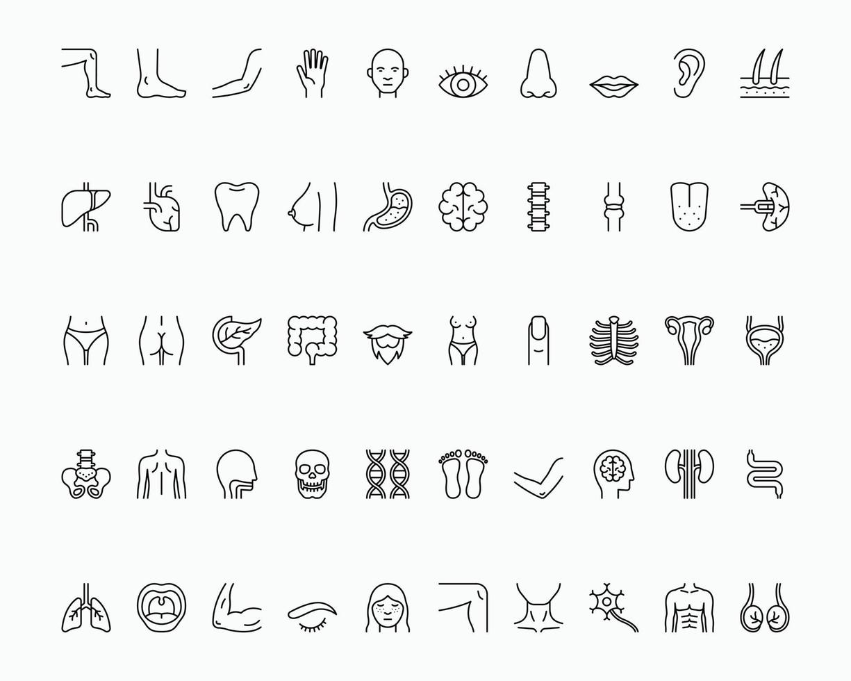 human body part icon set with outline illustration vector