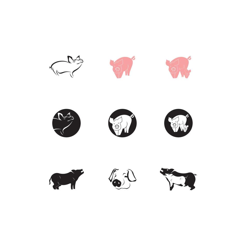 Pig Icon And Symbol Vector Illustration
