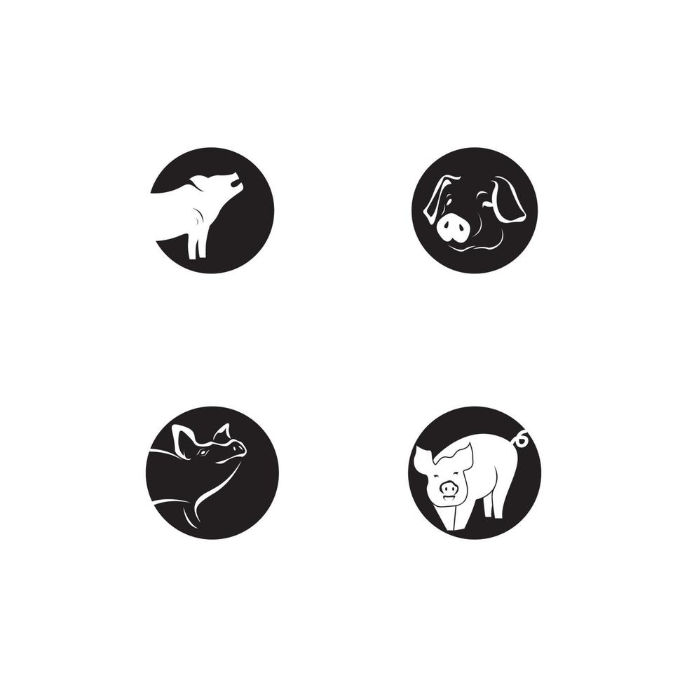 cerdo, icono, y, símbolo, vector, ilustración vector