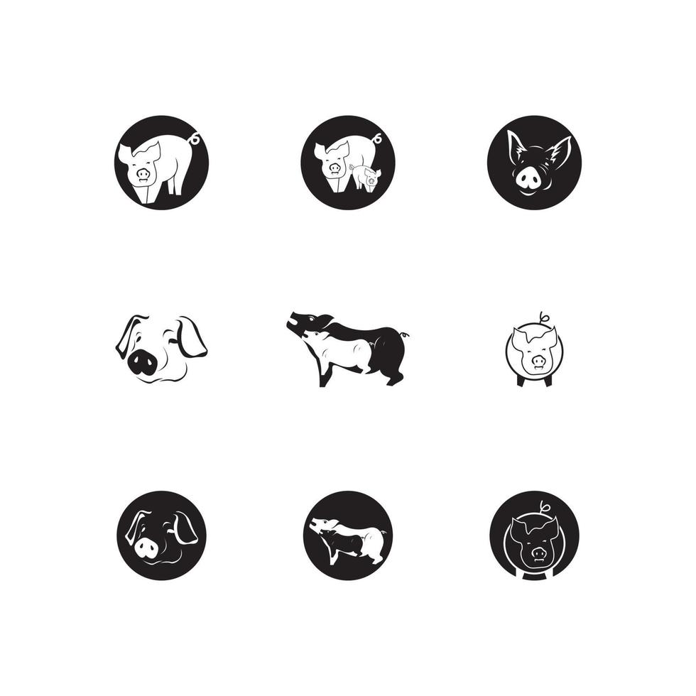 cerdo, icono, y, símbolo, vector, ilustración vector