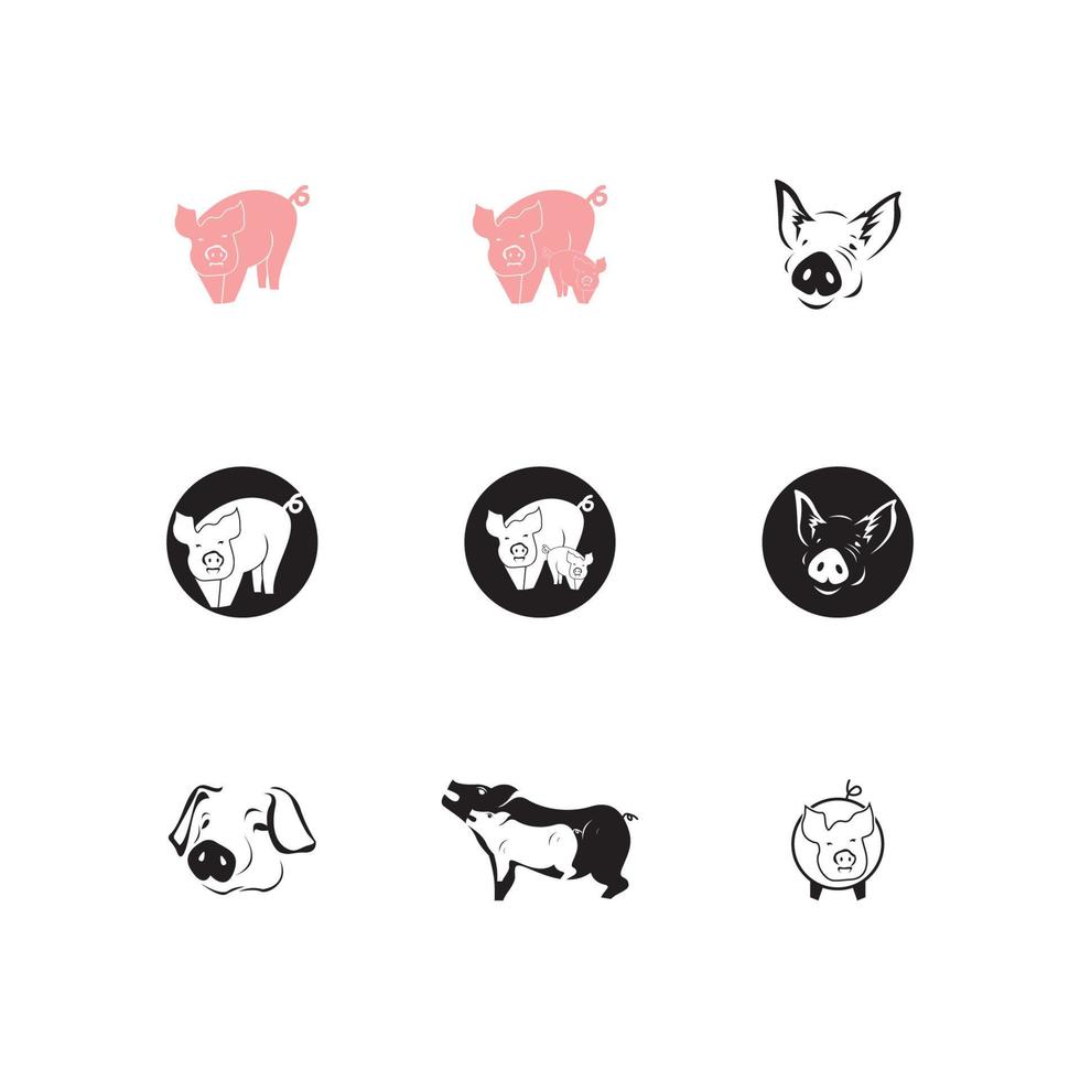 cerdo, icono, y, símbolo, vector, ilustración vector