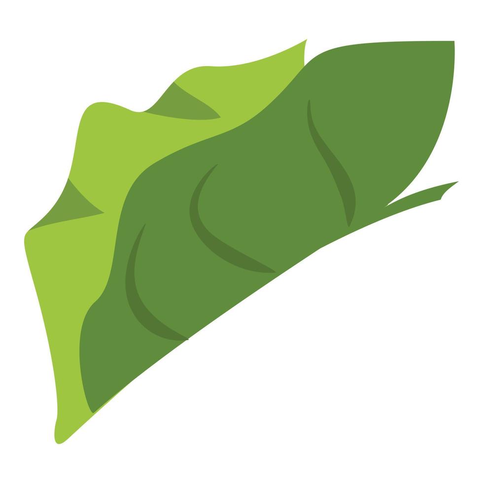 Tropical elephant ear leaf icon, cartoon style vector