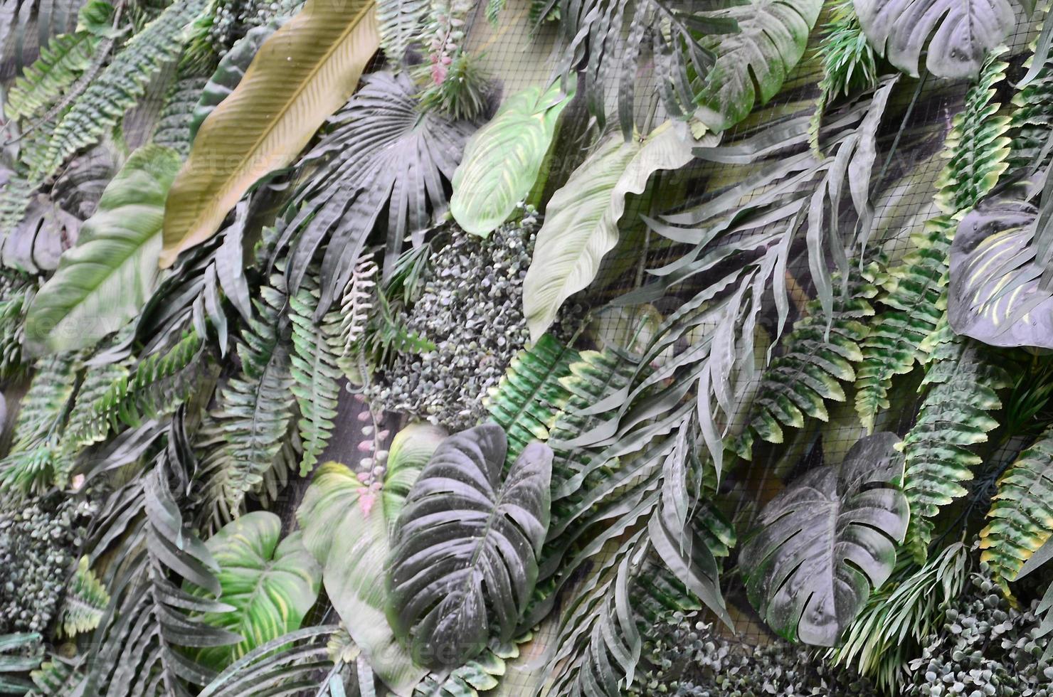 Tropical green leaves background, fern, palm and Monstera Deliciosa leaf on wall photo