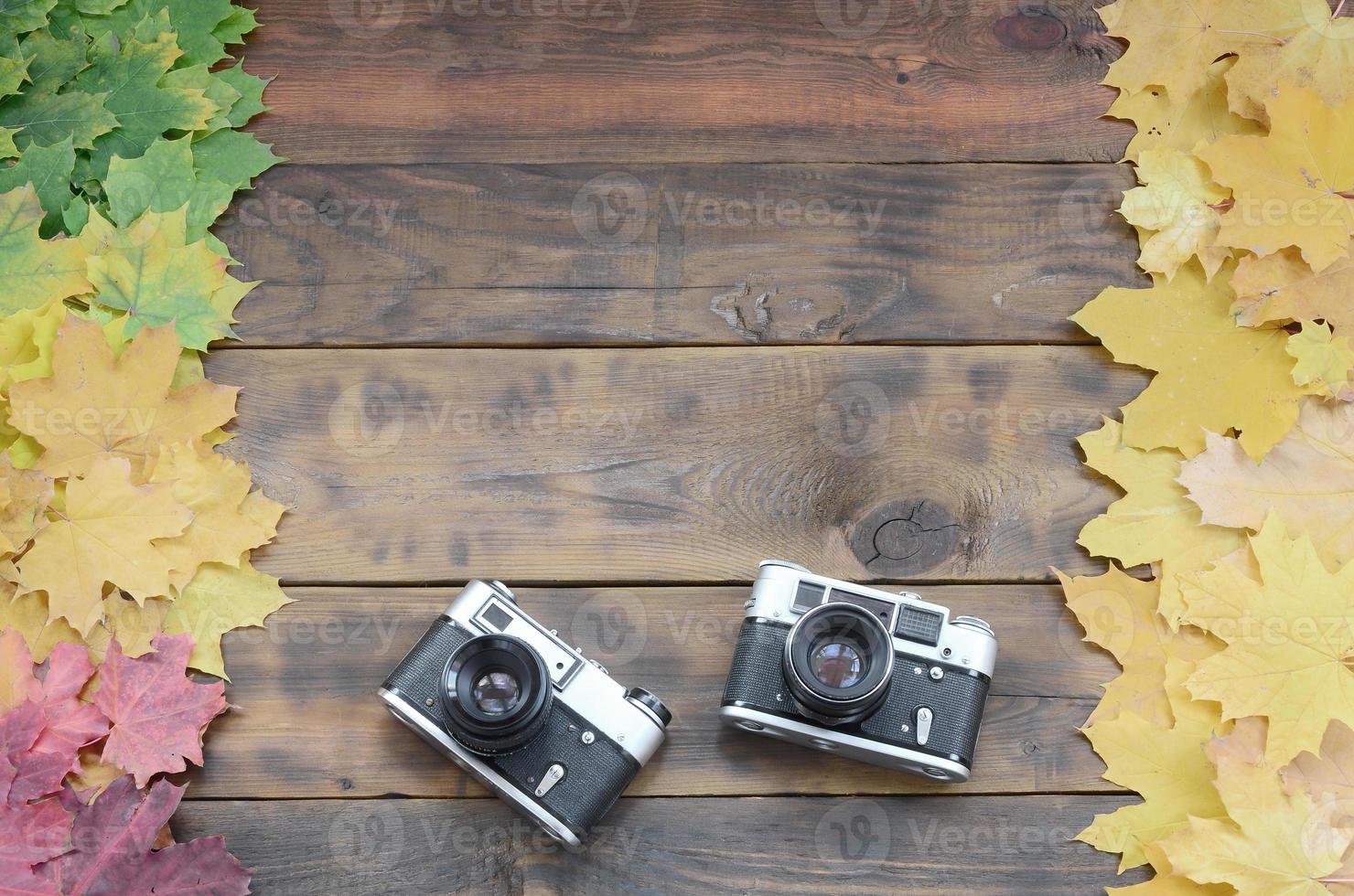 Two old cameras among a set of yellowing fallen autumn leaves on a background surface of natural wooden boards of dark brown color photo