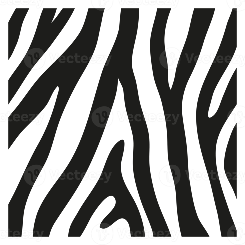 svarta ränder på huden på en zebra för dekorationsgrafik png