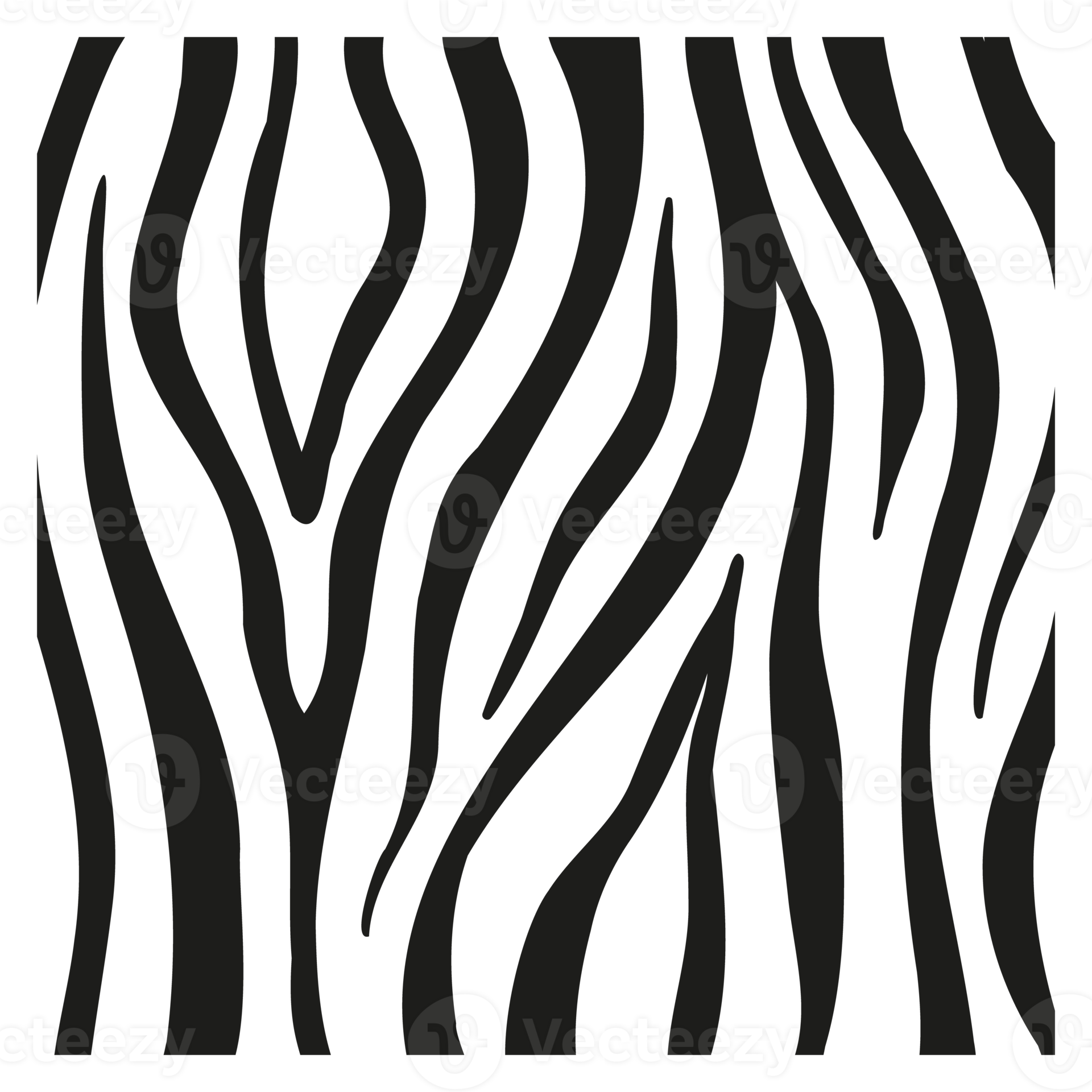 black-stripes-on-the-skin-of-a-zebra-for-decoration-graphics-14475655-png