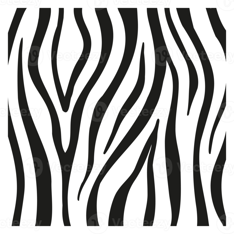 zwarte strepen op de huid van een zebra voor decoratie graphics png