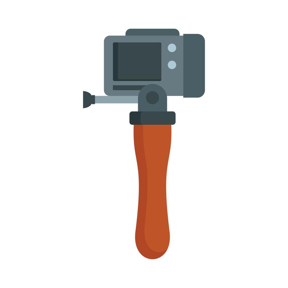 Hand stick camera icon, flat style vector