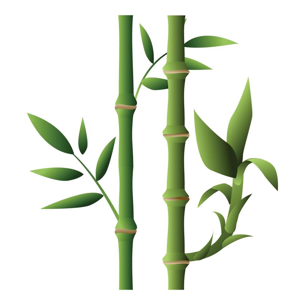 Bamboo plant icon, cartoon style vector