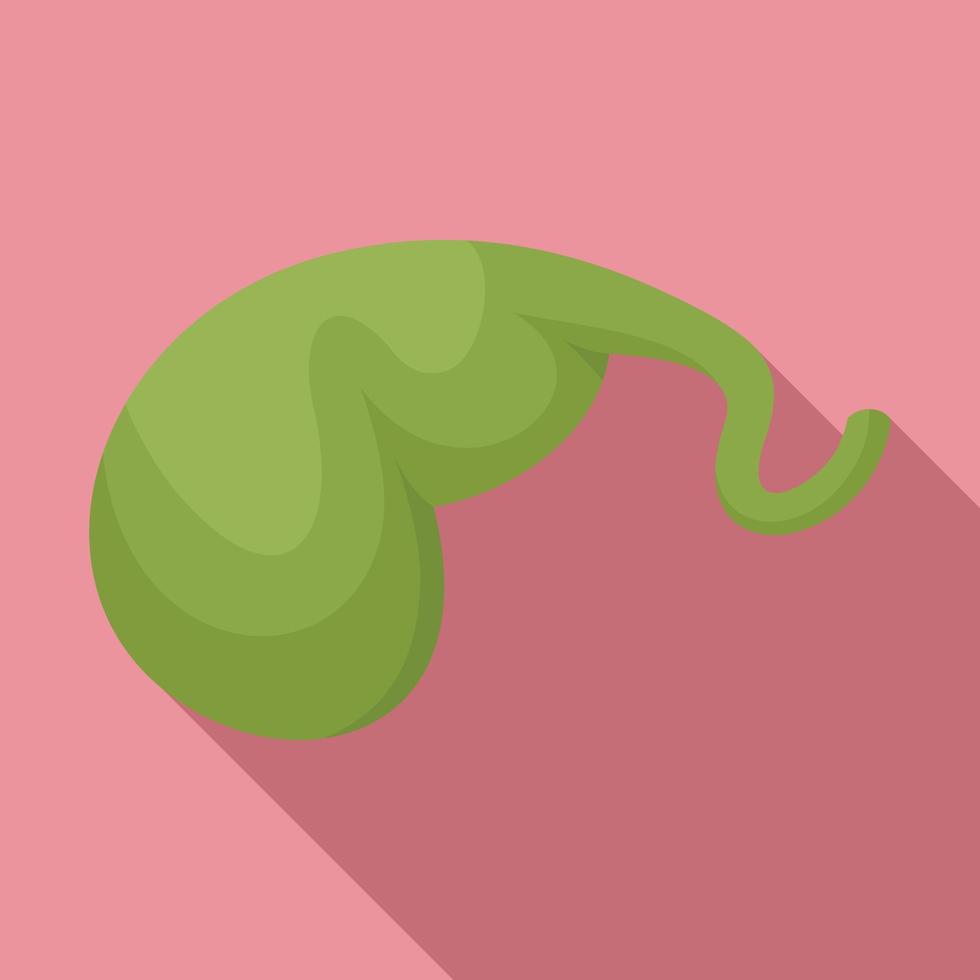 Gallbladder icon, flat style vector