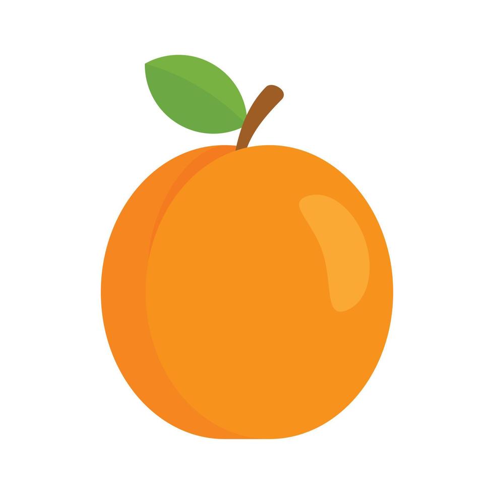 Fresh eco apricot icon, flat style vector