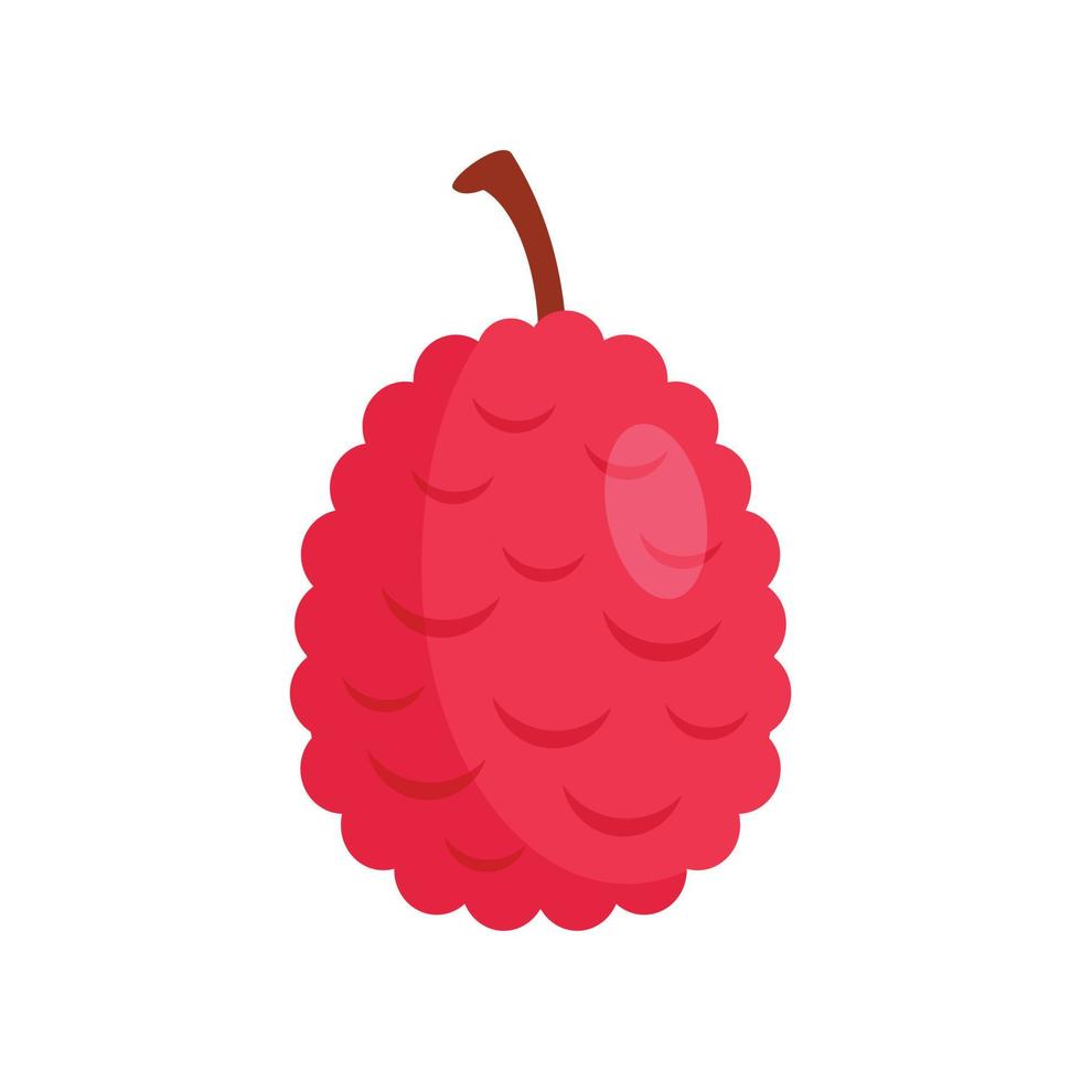 Lychees icon, flat style vector