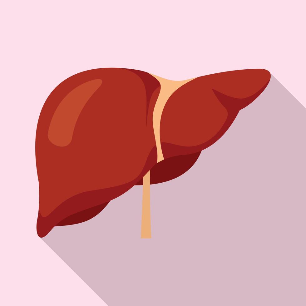 Human liver icon, flat style vector