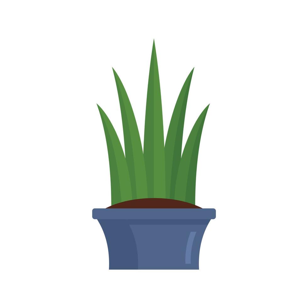 Long leaf succulent icon, flat style vector