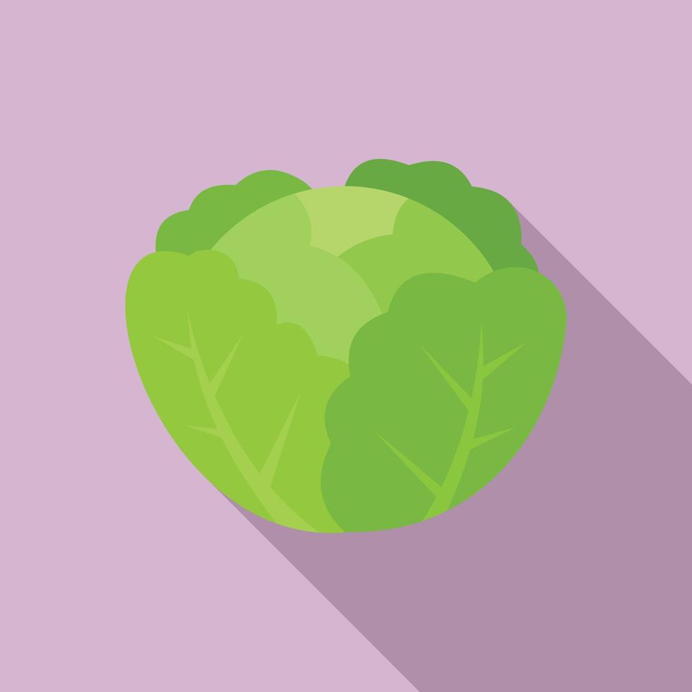 Cabbage icon, flat style vector