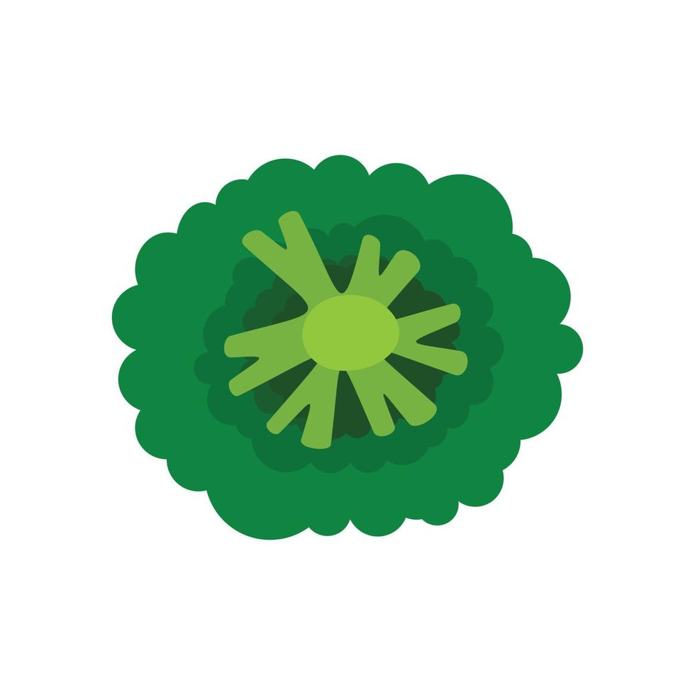 icono de brócoli de vista superior, estilo plano vector