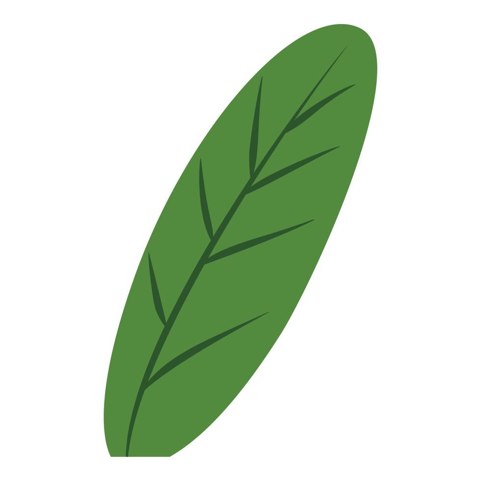 Fresh banana leaf icon, cartoon style vector